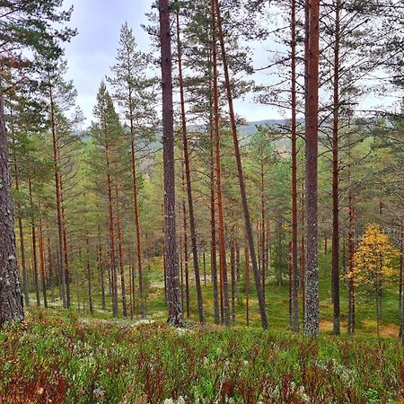 Stuga Ros Naturcamping Lagom Grasmark Экстерьер фото