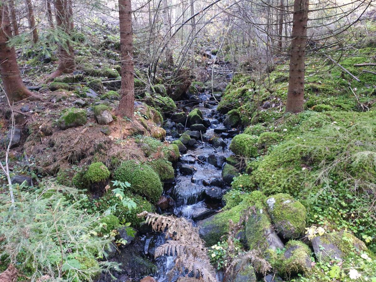 Stuga Ros Naturcamping Lagom Grasmark Экстерьер фото