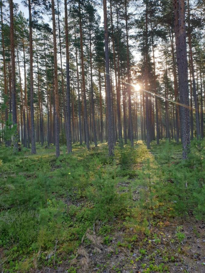 Stuga Ros Naturcamping Lagom Grasmark Экстерьер фото