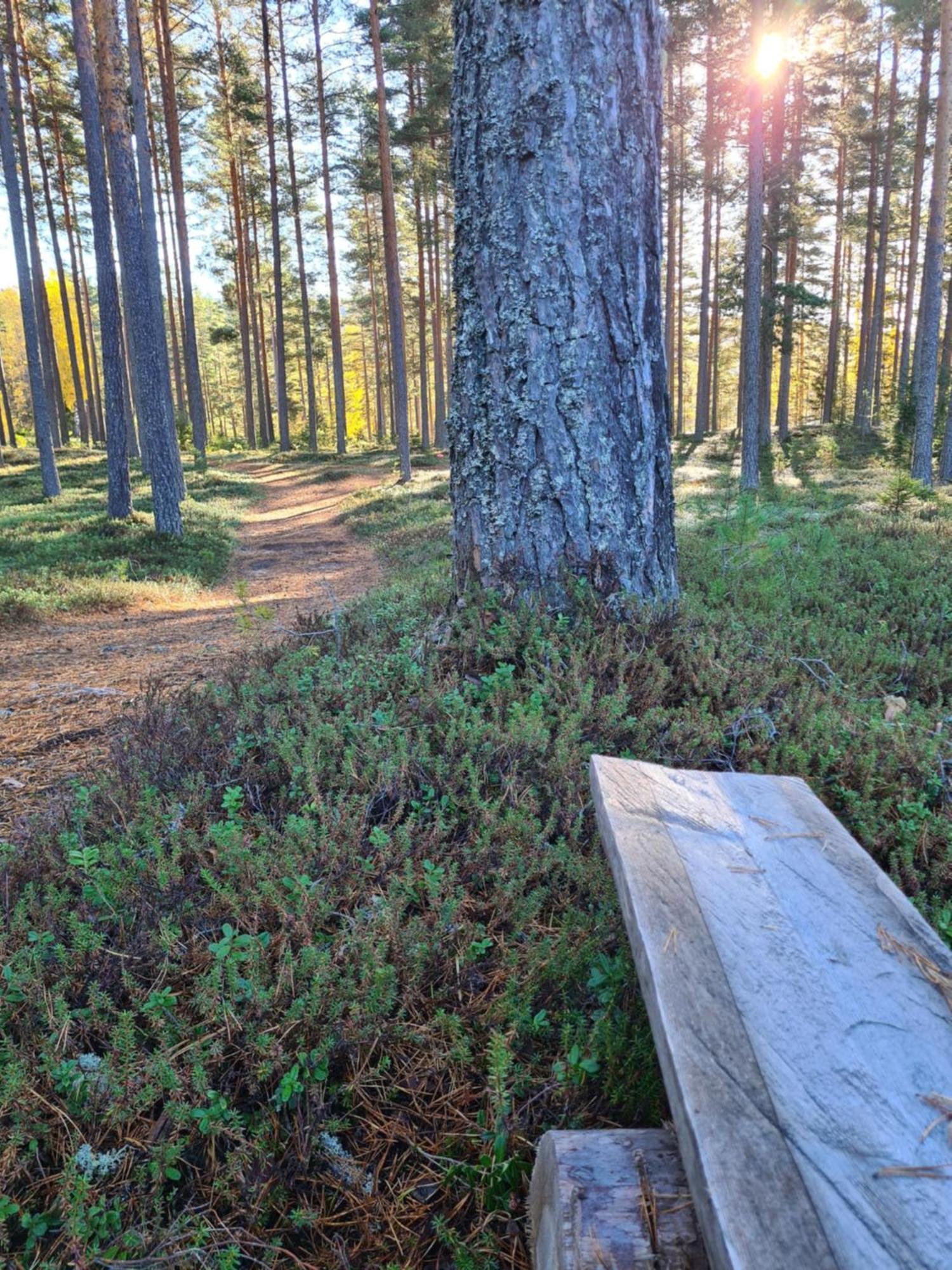 Stuga Ros Naturcamping Lagom Grasmark Экстерьер фото