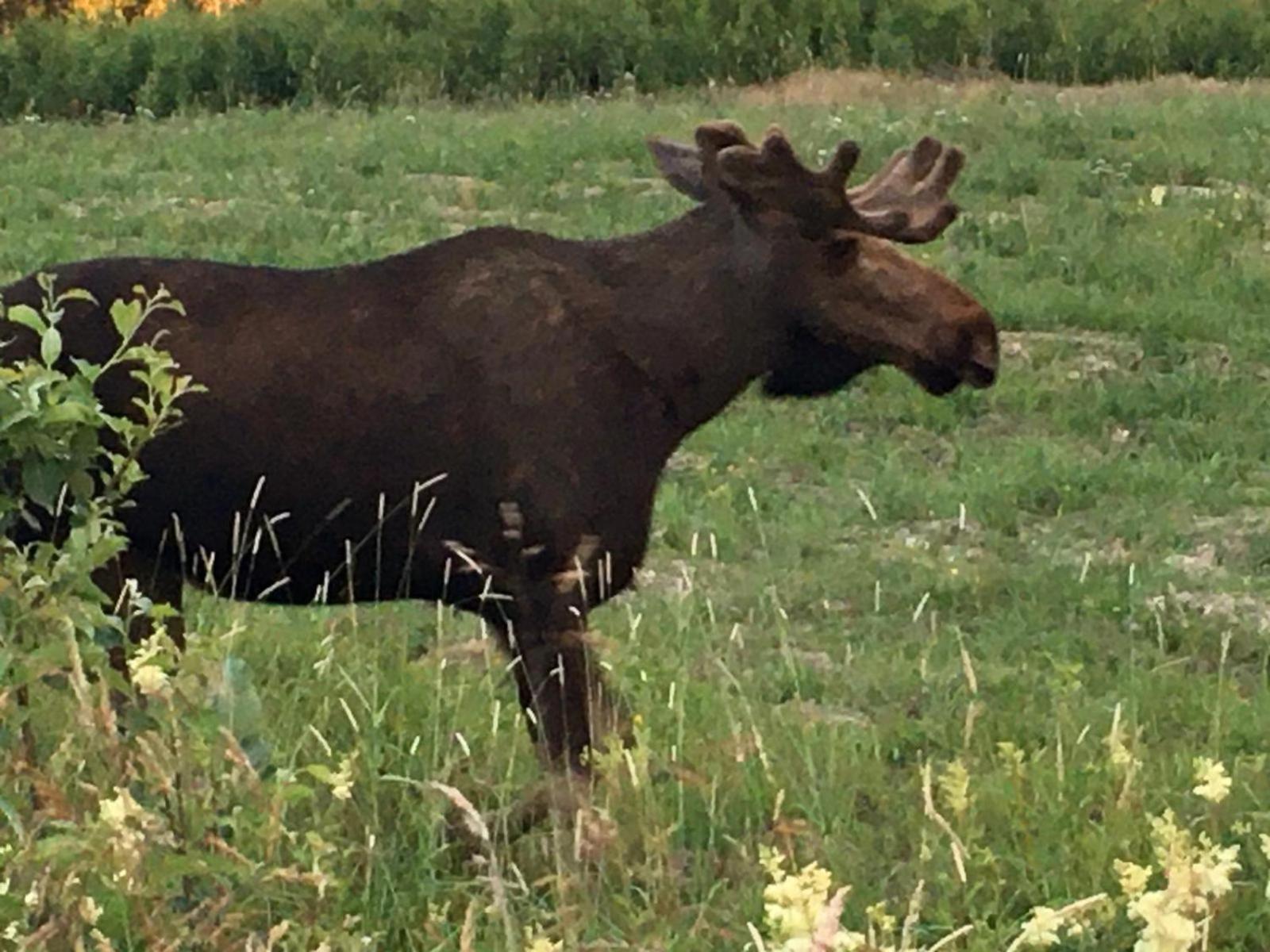 Stuga Ros Naturcamping Lagom Grasmark Экстерьер фото